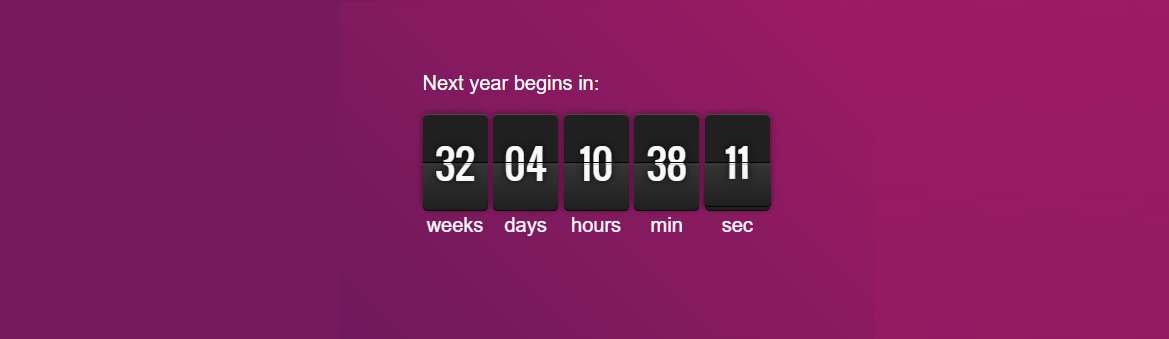 next-year-countdown