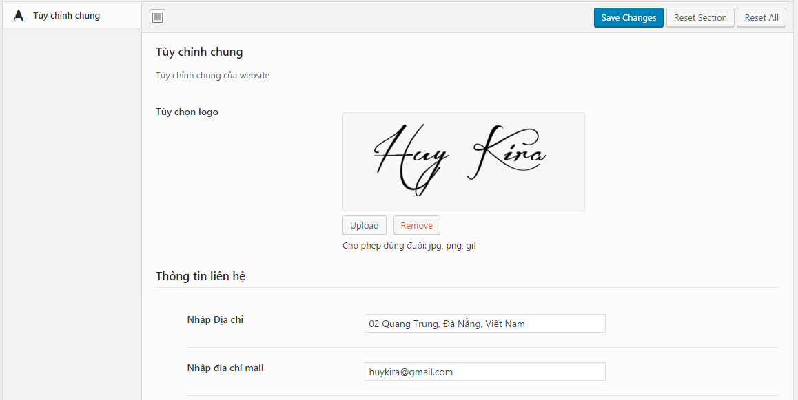 Tính năng theme options của code blog cá nhân