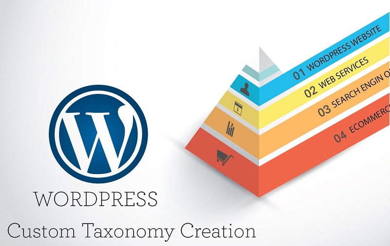 Hướng dẫn custom taxonomy trong wordpress sử dụng plugin toolset types