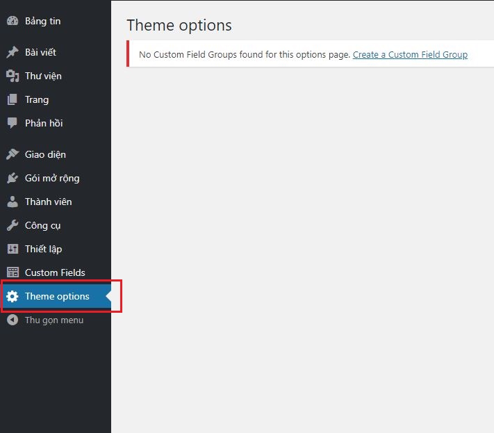 Hướng dẫn làm theme options